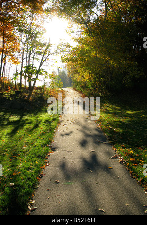 Ein Wanderweg in das Licht des frühen Morgens. Stockfoto