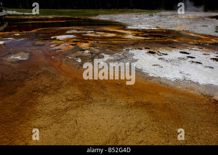 Geothermische Formationen & Farben erstellt durch mikrobielle Aktivität und Mineralvorkommen im Upper Geyser Basin Yellowstone Park Stockfoto