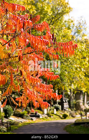 Highgate Friedhof Highgate N6 London Vereinigtes Königreich Stockfoto