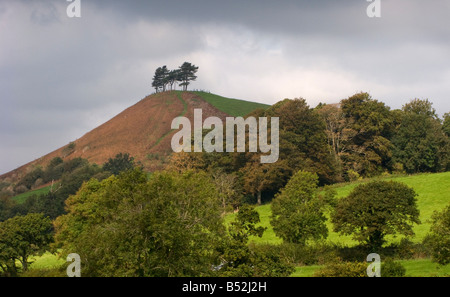 Colmer Hügel, Bridport, Dorset, Großbritannien Stockfoto