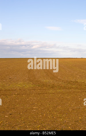 Flaches Erdfeld zum Horizont mit flacher Linie zum Himmel. Stockfoto