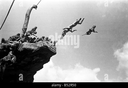 Hohe Sprünge und lange Sprünge kommen als sehr wenig Aufwand zu den Affen auf Monkey Hill im London Zoo. ; Juli 1952; C3823-001 Stockfoto