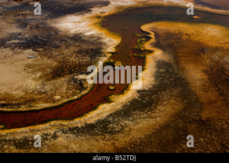 Geothermische Formationen & Farben erstellt durch mikrobielle Aktivität und Mineralvorkommen im Upper Geyser Basin Yellowstone Park Stockfoto