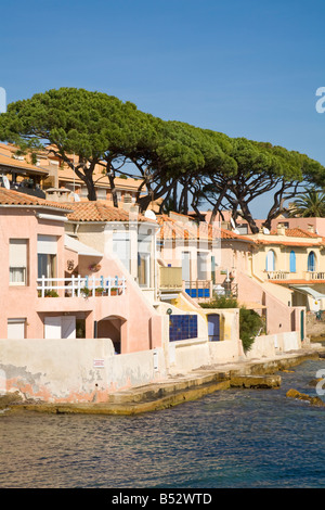 Wohnhäuser und Pinien stehen am Rand des Mittelmeers an der Cote d ' Azur / Provence / Südfrankreich Stockfoto