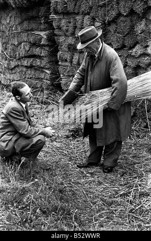 Reed-Cutter auf die Norfolk Broads. Juni 1952 C3019 Stockfoto