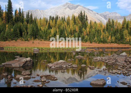 Reflexionen im felsigen Tarn auf Highwood Wiesen trail, Kananaskis Country, Alberta Stockfoto