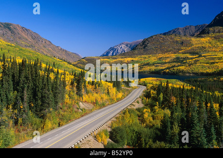 Farben des Herbstes entlang Klondike Highway-Alaska-Yukon Stockfoto