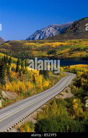 Farben des Herbstes entlang Klondike Highway-Alaska-Yukon Stockfoto