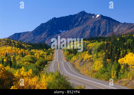 Farben des Herbstes entlang Klondike Highway-Alaska-Yukon Stockfoto