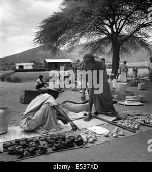 Ostafrikanische Erdnüsse Schema. In den späten 1940er Jahren versuchte die britische Regierung für den Anbau von Erdnüsse (Erdnüsse), riesige Plantagen in Tanganyika (jetzt bekannt als Tansania) zu schaffen. ; Hier zu sehen sind Dandies des Stammes Tragogo. O15015 Stockfoto