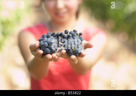 Hispanic Frau hält, dass zwei Bündel oder roten Trauben Stockfoto