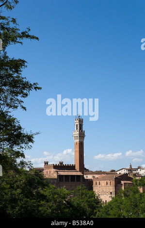 Blick über die Altstadt in Richtung Torre del Mangia auf der Palazzo Publico, Siena, Toskana, Italien Stockfoto
