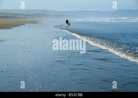 Ein Mann mit einem Hund am Ninety Mile Beach, North Island, Neuseeland Stockfoto