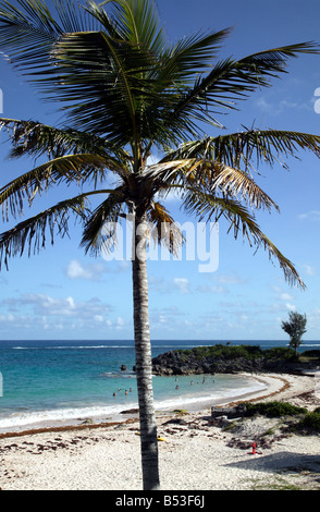 Schuss von John Smith Bay (Smith es Parish) auf der südlichen Küste von Bermuda. Stockfoto