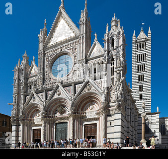 Fassade des Doms und der Campanile, Siena, Toskana, Italien Stockfoto