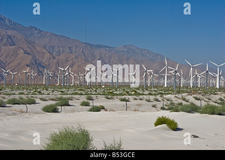 Windkraftanlagen Sie Turbine Feld Bauernhof North Palm Springs CA San Gorgonio Pass kleine Green Power Strom Coachella Valley Stockfoto