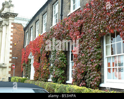 Ein altes georgianisches Haus bedeckt mit Efeu, neben der Corn Exchange am Dienstag Marktplatz, Kings Lynn, Norfolk, East Anglia, England. Stockfoto