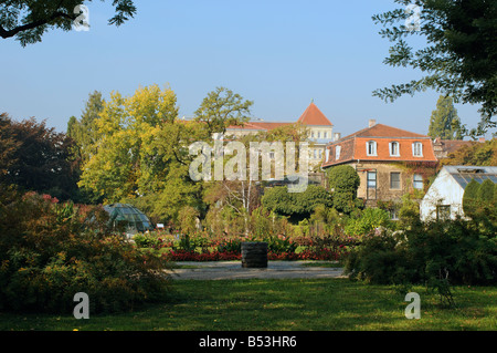 Botanische Gärten Zagreb Kroatien Stockfoto