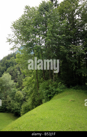 einen schönen Tag in den Tiroler Alpen Stockfoto