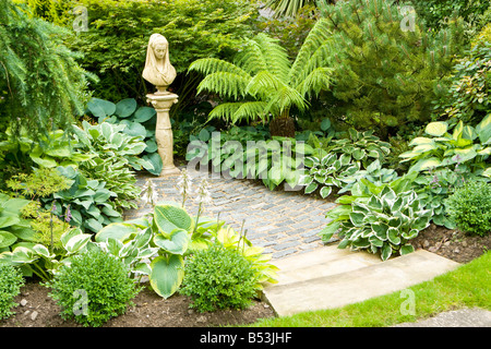 Verschiedene Hosta-Sorten mit Boxos Sempervirens, Larix Pendel nach links und Baumfarn Dicksonia Antartica Stockfoto