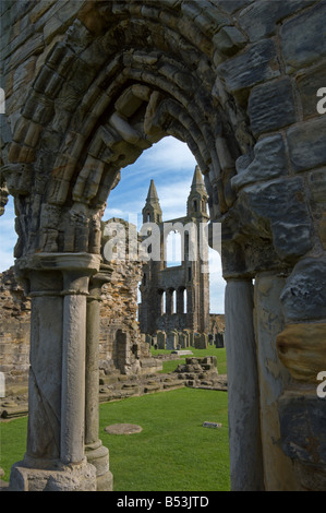 St. Andrews Cathedral Ruinen Fife Schottland August 2008 Stockfoto