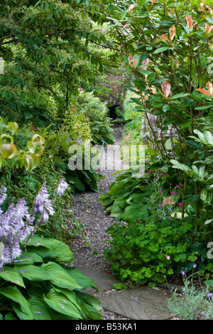 Pfad durch einen Garten mit Hosta in Blüte Stockfoto