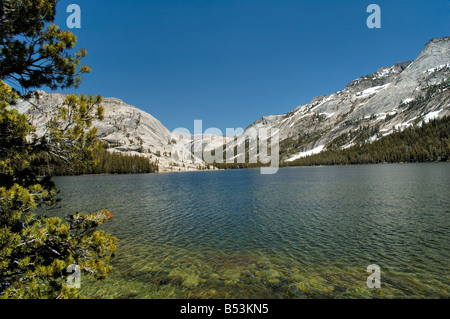 Tenaya Lake am Tioga Pass Road im Yosemite National Park Stockfoto