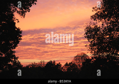 Schöner Sonnenaufgang in Ost-Tennessee Stockfoto