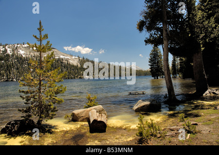 Tenaya Lake am Tioga Pass Road im Yosemite National Park Stockfoto