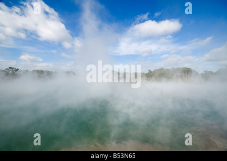 Geothermischen Quellen in Kuirau Park, Rotorua, Nordinsel, Neuseeland Stockfoto