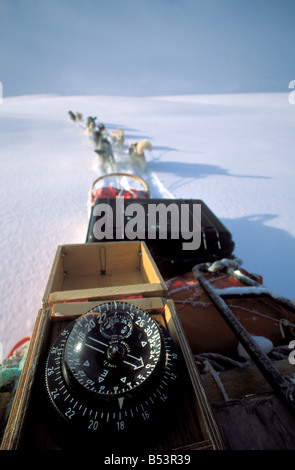 Schlittenhunde - ziehen Schlitten mit Kompass Stockfoto
