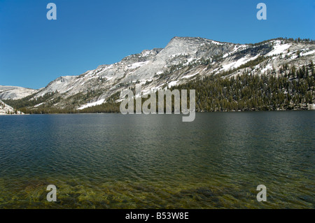 Tenaya Peak und Tenaya Lake am Tioga Pass Road im Yosemite National Park Stockfoto