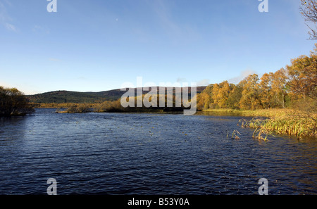 Loch Kinord in Aberdeenshire, Schottland, UK, gebildet während der Eiszeit, die jetzt Teil des Naturschutzgebietes Muir Dinnet bildet Stockfoto