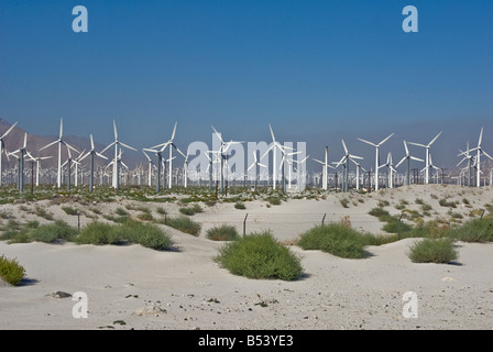 Wind Farm, Turbinen, North Palm Springs, CA, San Gorgonio Pass, Coachella Valley, Turbine Windpark Stockfoto