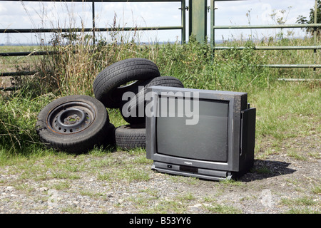 Fliegen Sie, Kippen auf dem Lande Stockfoto