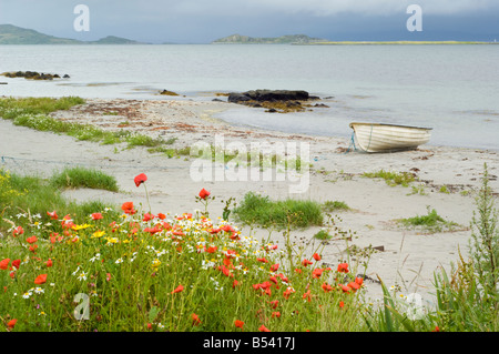 Strand von Merchiston Blick Small Isles Bay auf der Ardfernal Halbinsel, im Vordergrund ein Boot und Blumen der rote Mohn Stockfoto