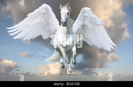 Pegasus im Galopp mit Flügeln Stockfoto