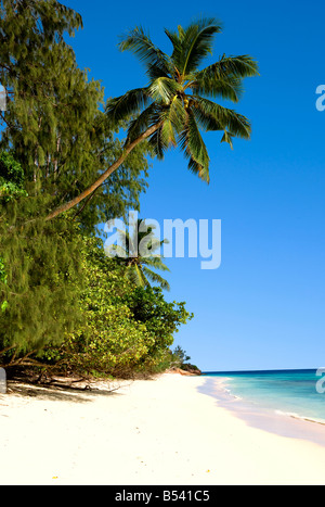 Anse Boudin Praslin Insel Seychellen Stockfoto