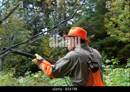 Waldschnepfe und Moorhuhn oder Rebhuhn Jagd in New Brunswick, Kanada Stockfoto