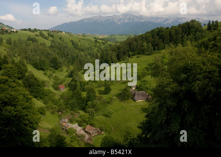 Alten altmodische Landwirtschaft im Piatra Craiulu Mountains Nationalpark Rumänien Heu Schneiden von hand nicht verbesserten Weiden etc. Stockfoto