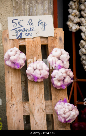 Hängende frischer Knoblauch - Gers - Frankreich Stockfoto