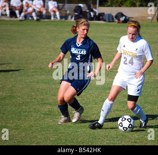 Fußball (Fußball) Spiel Featuruing University of Dallas und Centre College Stockfoto