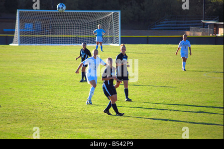 Fußball (Fußball) Spiel Featuruing University of Dallas und Centre College Stockfoto