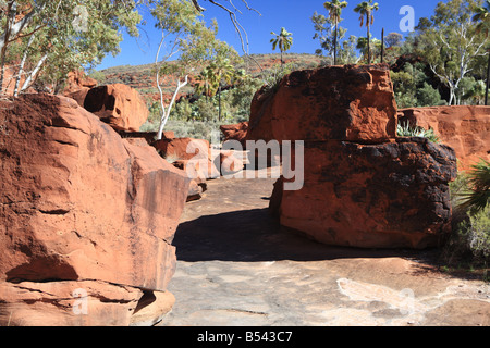 Red Rock Glühen in Palm Valley, in der Nähe von Alice Springs, Northern Territory Stockfoto