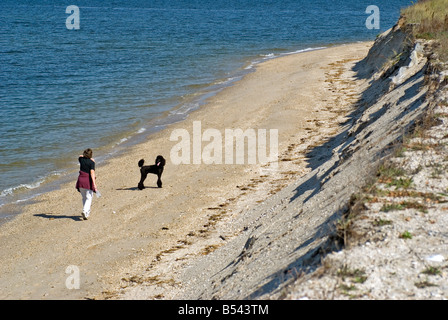 Frau und Hund am Strand, Smithtown, Long Island, NY Stockfoto