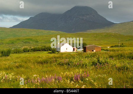 Eines der Paps Jura, Beinn Shiantaidh 757 m, vom Ardfernal Township Blick nach Westen über Wiesen lila Loosetrife Stockfoto