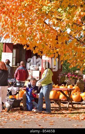 South Hero Apfelfest findet Anfang Oktober in der Lake Champlain Islands Vermont Stockfoto