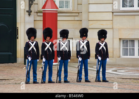 Wachablösung am Schloss Amalienborg die königliche Residenz in Kopenhagen København Stockfoto