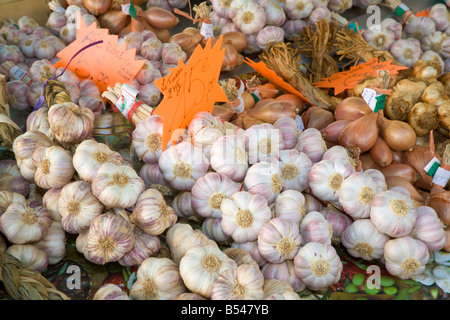 Knoblauch Zwiebeln angeboten werden, auf einem Bauernmarkt in Sainte-Maxime an der Cote d ' Azur / Provence Stockfoto