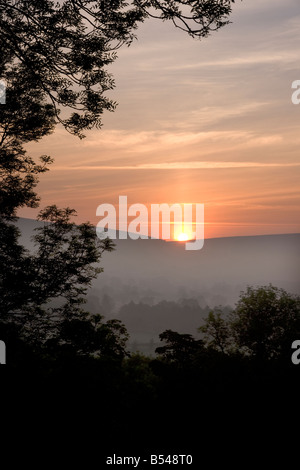 Sonnenaufgang über Bäume in Castleton Tal Peak District mit morgendlichen Nebel und Dämmerung Beleuchtung Stockfoto